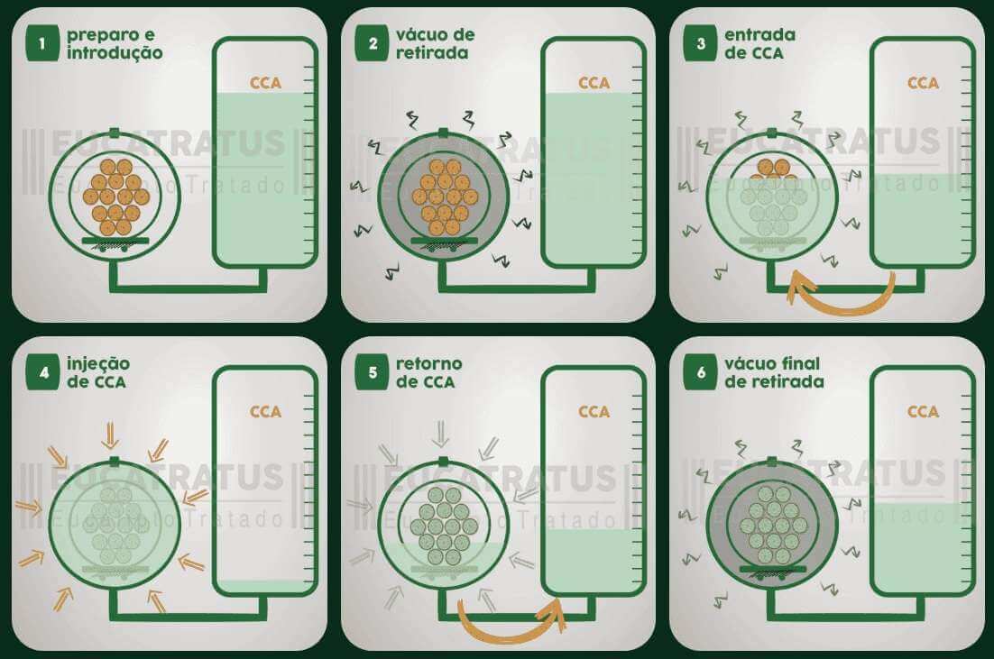 etapas tratamento madeira eucalipto autoclave eucatratus