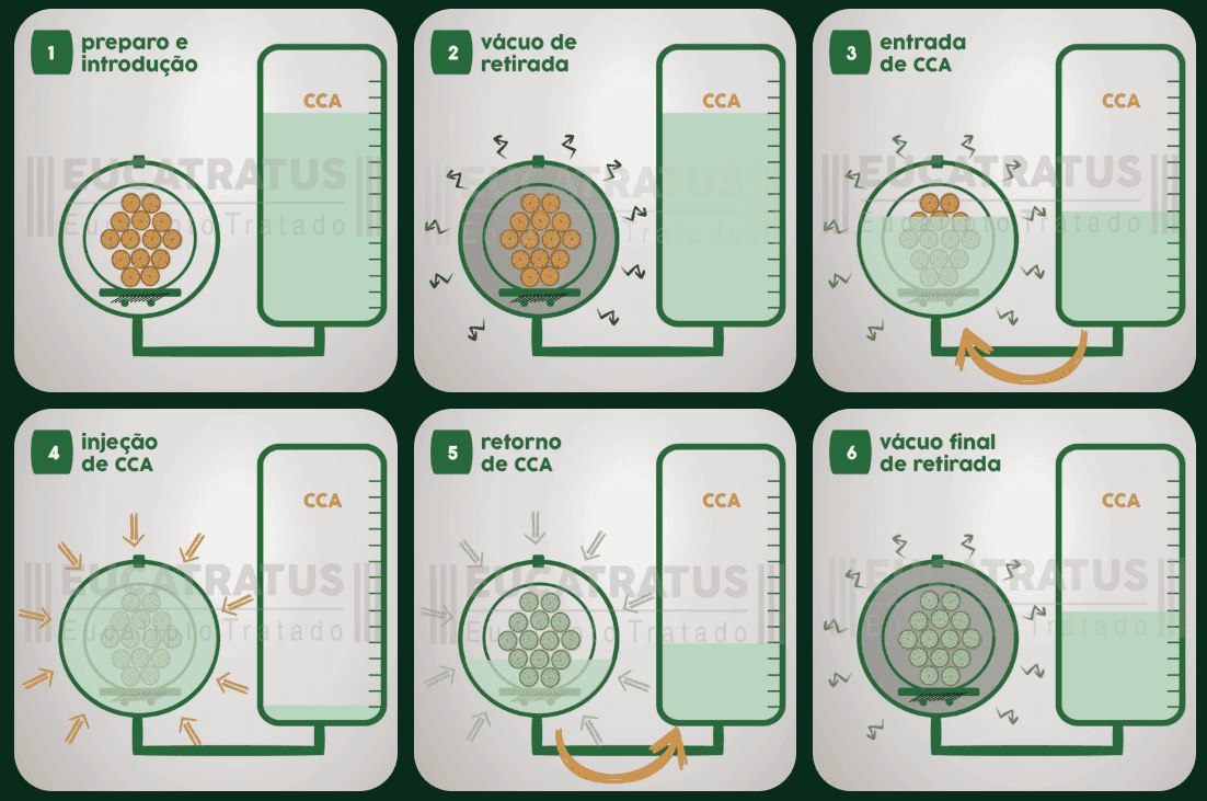 etapas tratamento madeira eucalipto autoclave eucatratus