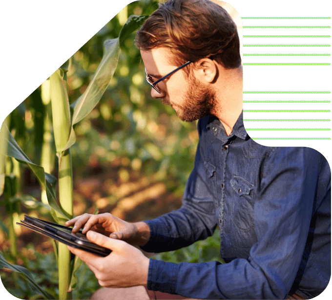 imagem cliente eucatratus simulador de orçamento online plantação produtor rural