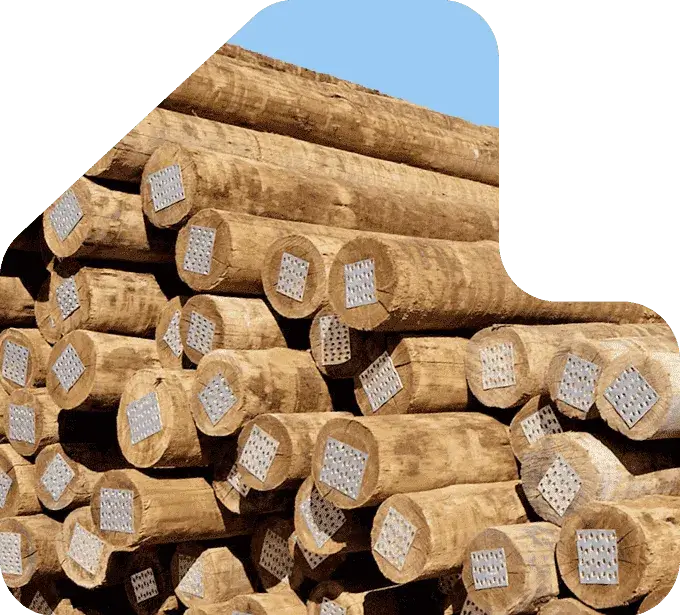 imagem pilha mouroes eucalipto tratado eucatratus