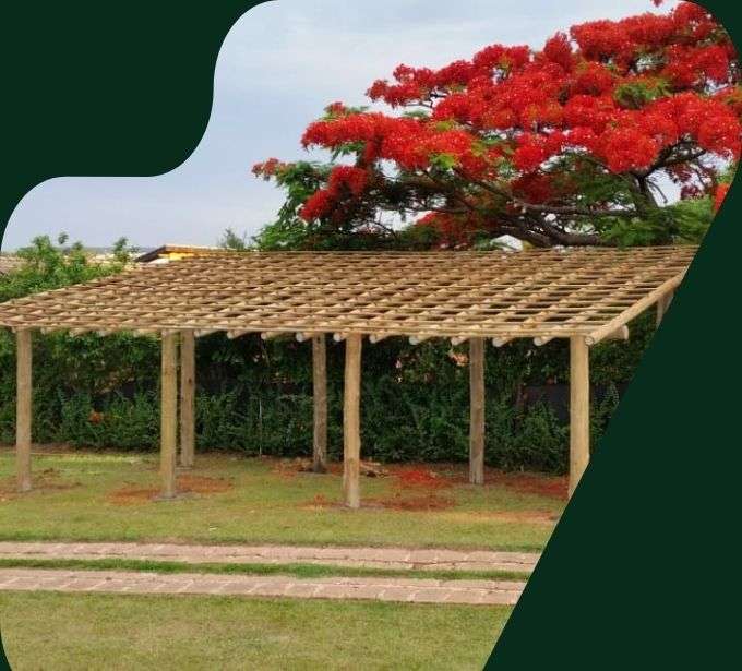 imagem pergolado pérgola eucalipto tratado eucatratus
