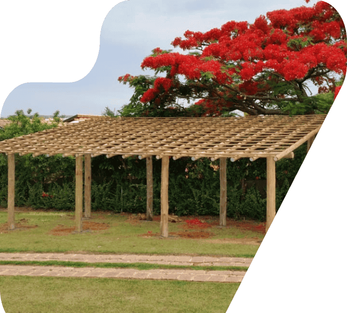 imagem pergolado pérgola eucalipto tratado eucatratus