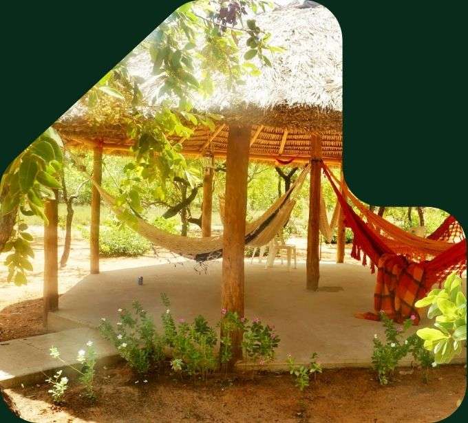 imagem quiosque com toras e ripas de eucalipto tratado eucatratus