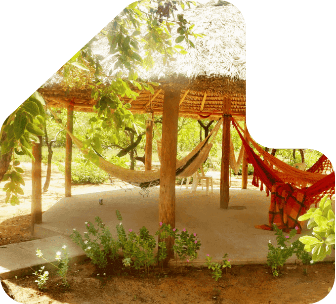 imagem quiosque com toras e ripas de eucalipto tratado eucatratus