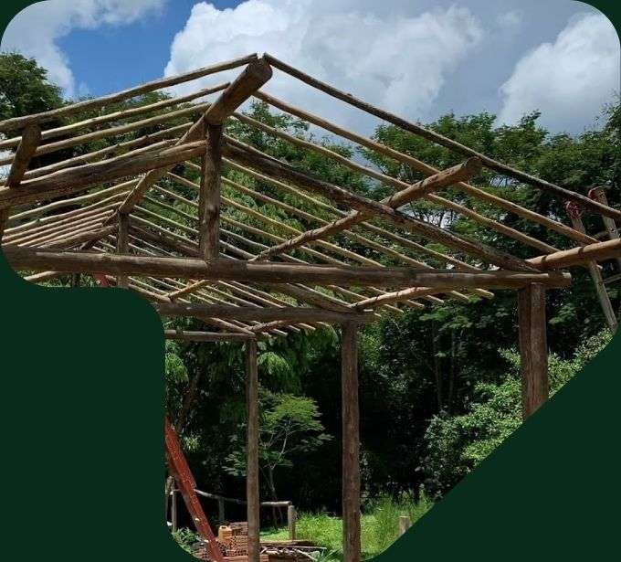 imagem racho de madeira com eucalipto tratado eucatratus