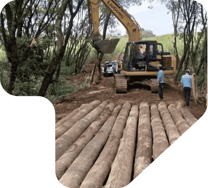 imagem ponte pontilhão com eucalipto tratado eucatratus
