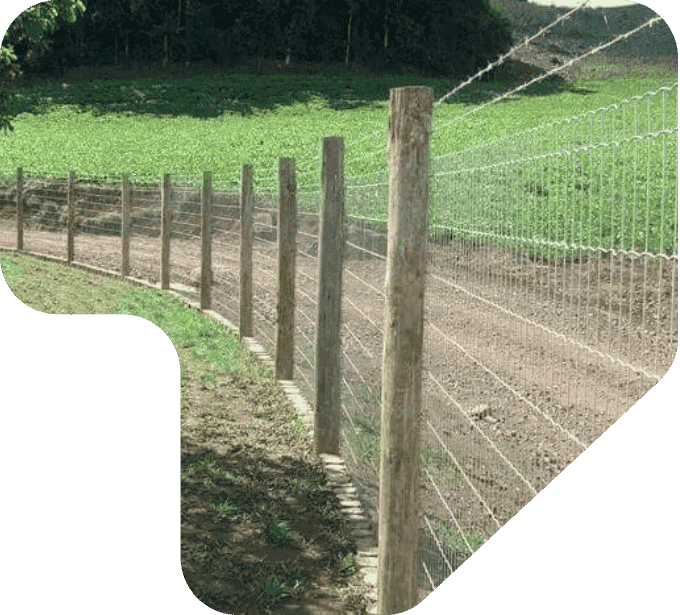 imagem cerca rural tela alambrado eucalipto tratado eucatratus
