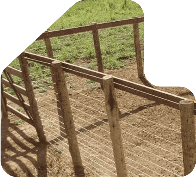 imagem curral cordoalha com eucalipto tratado eucatratus