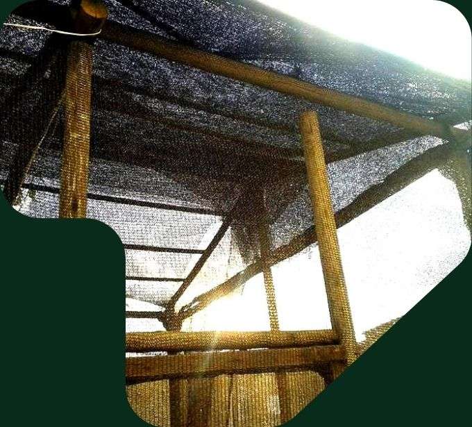 imagem oriquidario com mourão e poste de eucalipto tratado eucatratus