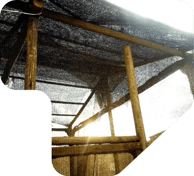 imagem oriquidario com mourão e poste de eucalipto tratado eucatratus