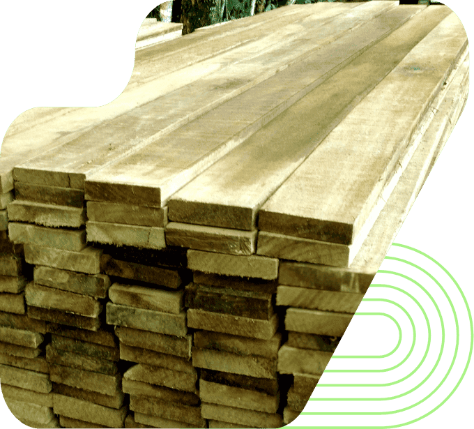 imagem madeira serrada réguas tábuas eucalipto tratado eucatratus